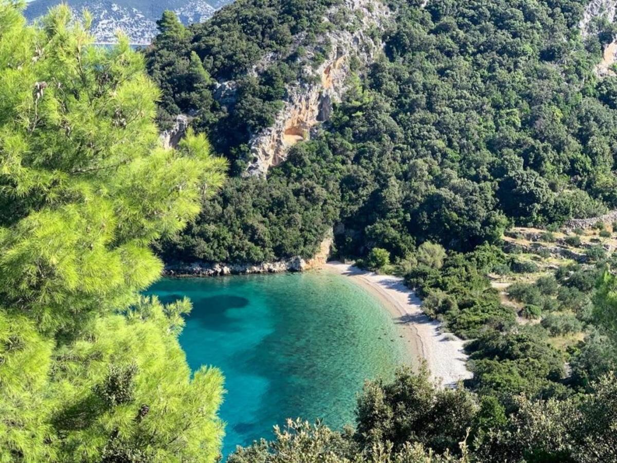 Vineyard House & Olive Grove House Villa Račišće Dış mekan fotoğraf