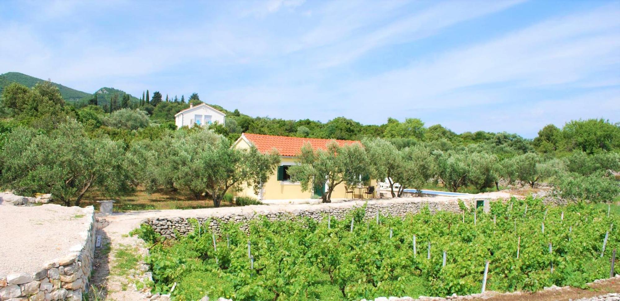 Vineyard House & Olive Grove House Villa Račišće Dış mekan fotoğraf