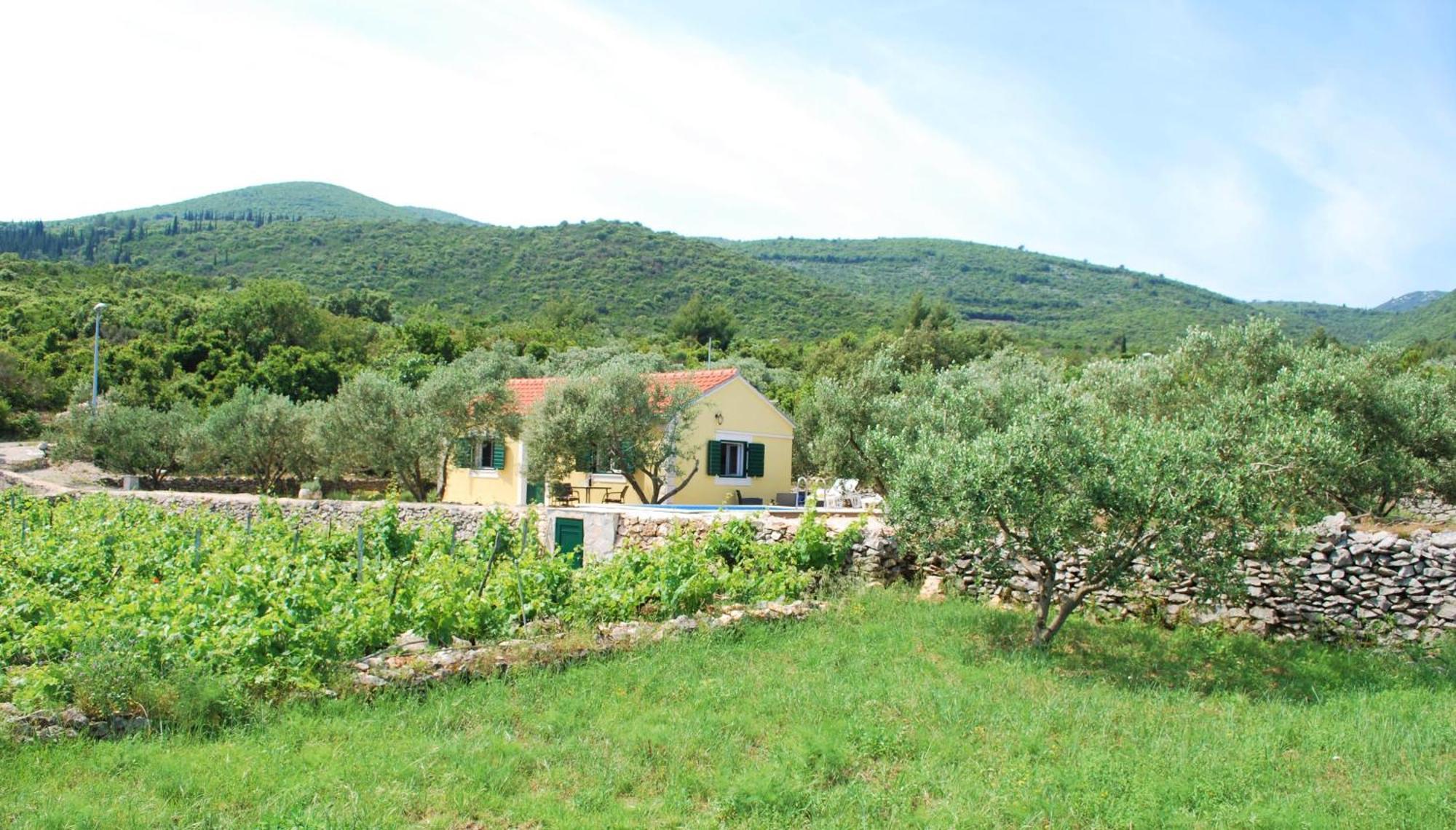 Vineyard House & Olive Grove House Villa Račišće Dış mekan fotoğraf