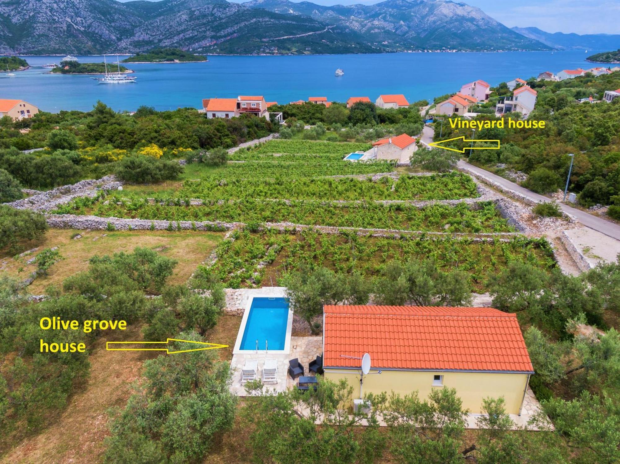 Vineyard House & Olive Grove House Villa Račišće Dış mekan fotoğraf