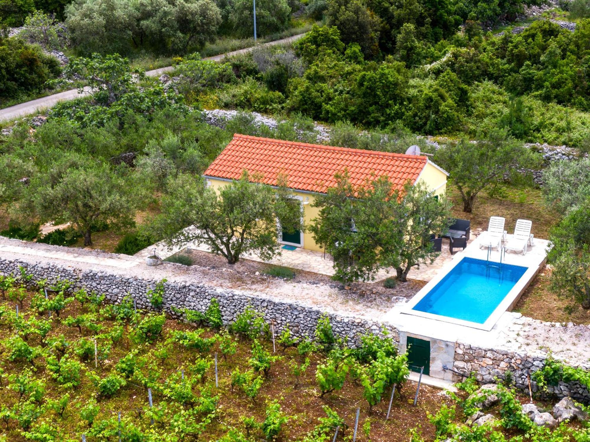 Vineyard House & Olive Grove House Villa Račišće Dış mekan fotoğraf