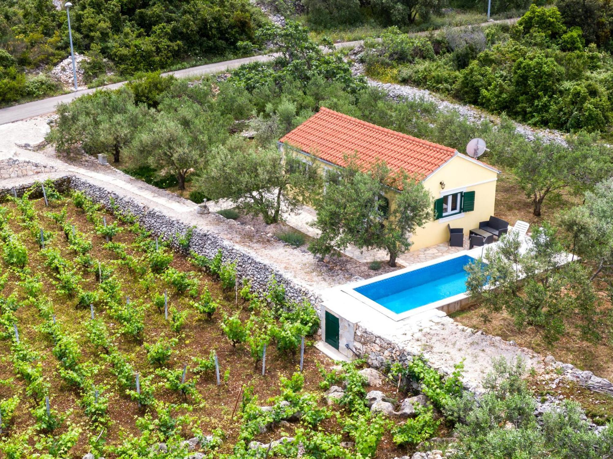 Vineyard House & Olive Grove House Villa Račišće Dış mekan fotoğraf