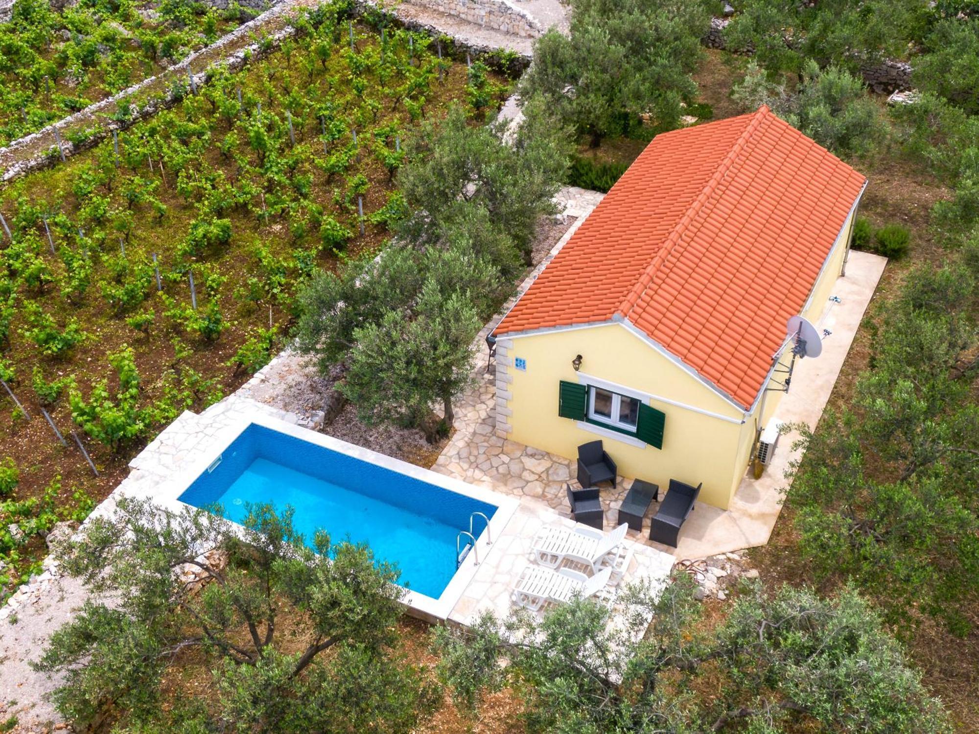 Vineyard House & Olive Grove House Villa Račišće Dış mekan fotoğraf