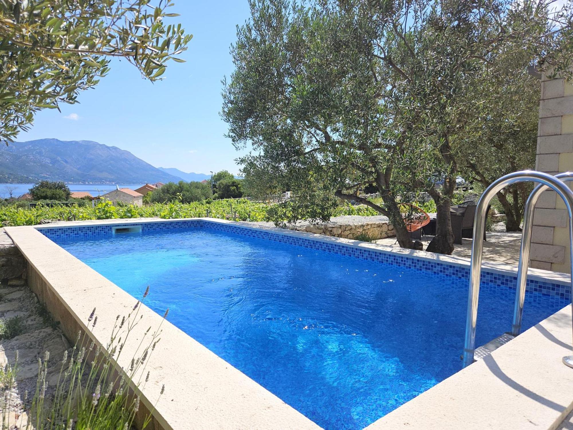 Vineyard House & Olive Grove House Villa Račišće Dış mekan fotoğraf