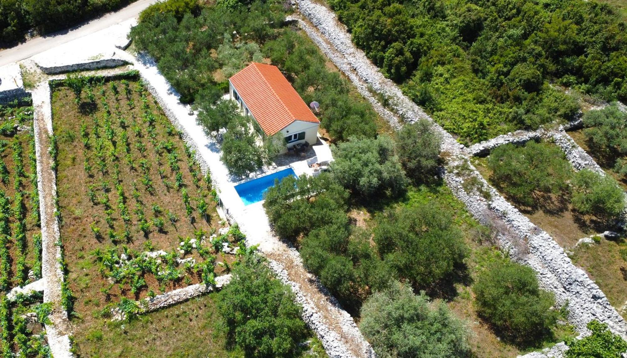 Vineyard House & Olive Grove House Villa Račišće Dış mekan fotoğraf
