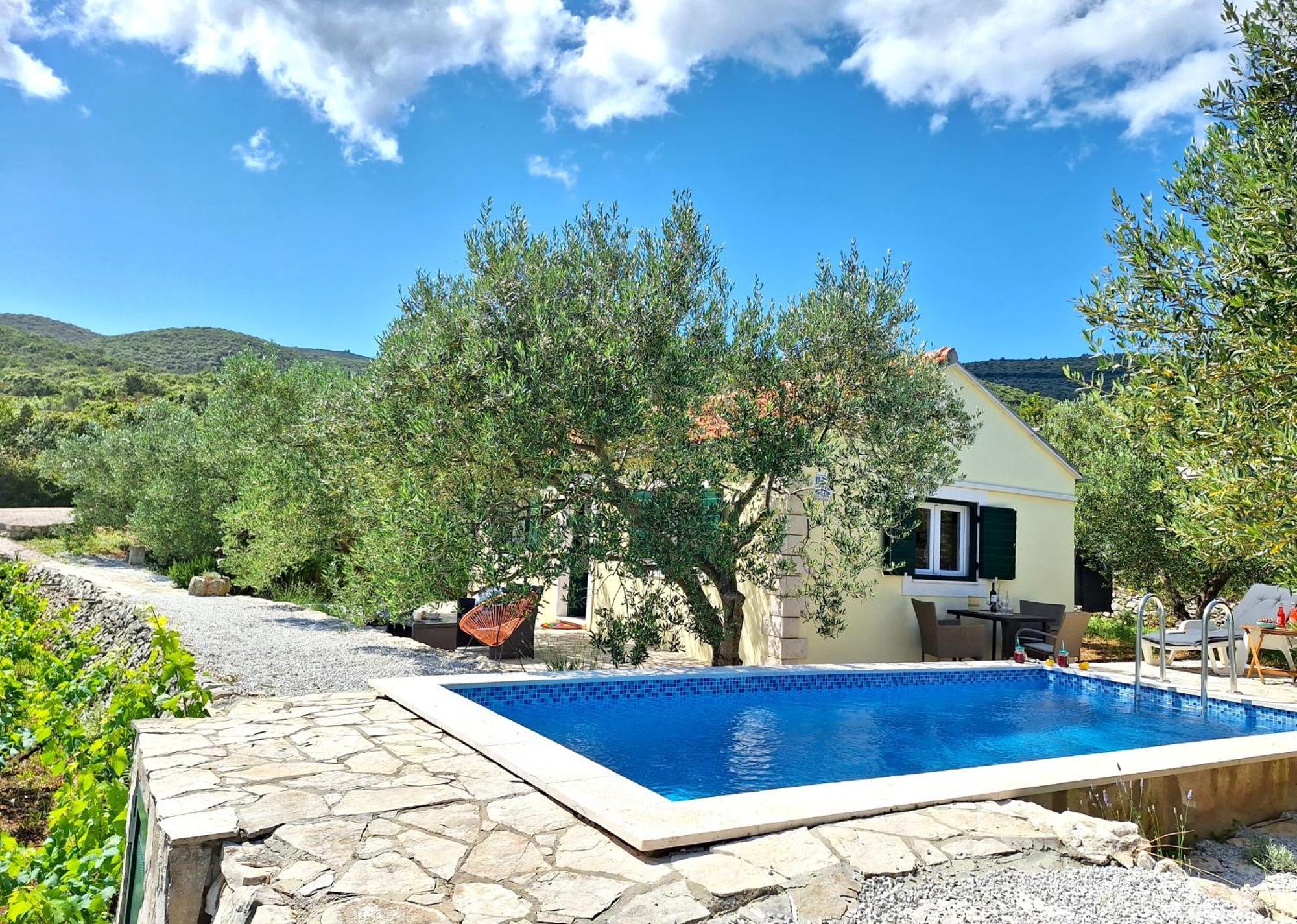 Vineyard House & Olive Grove House Villa Račišće Dış mekan fotoğraf