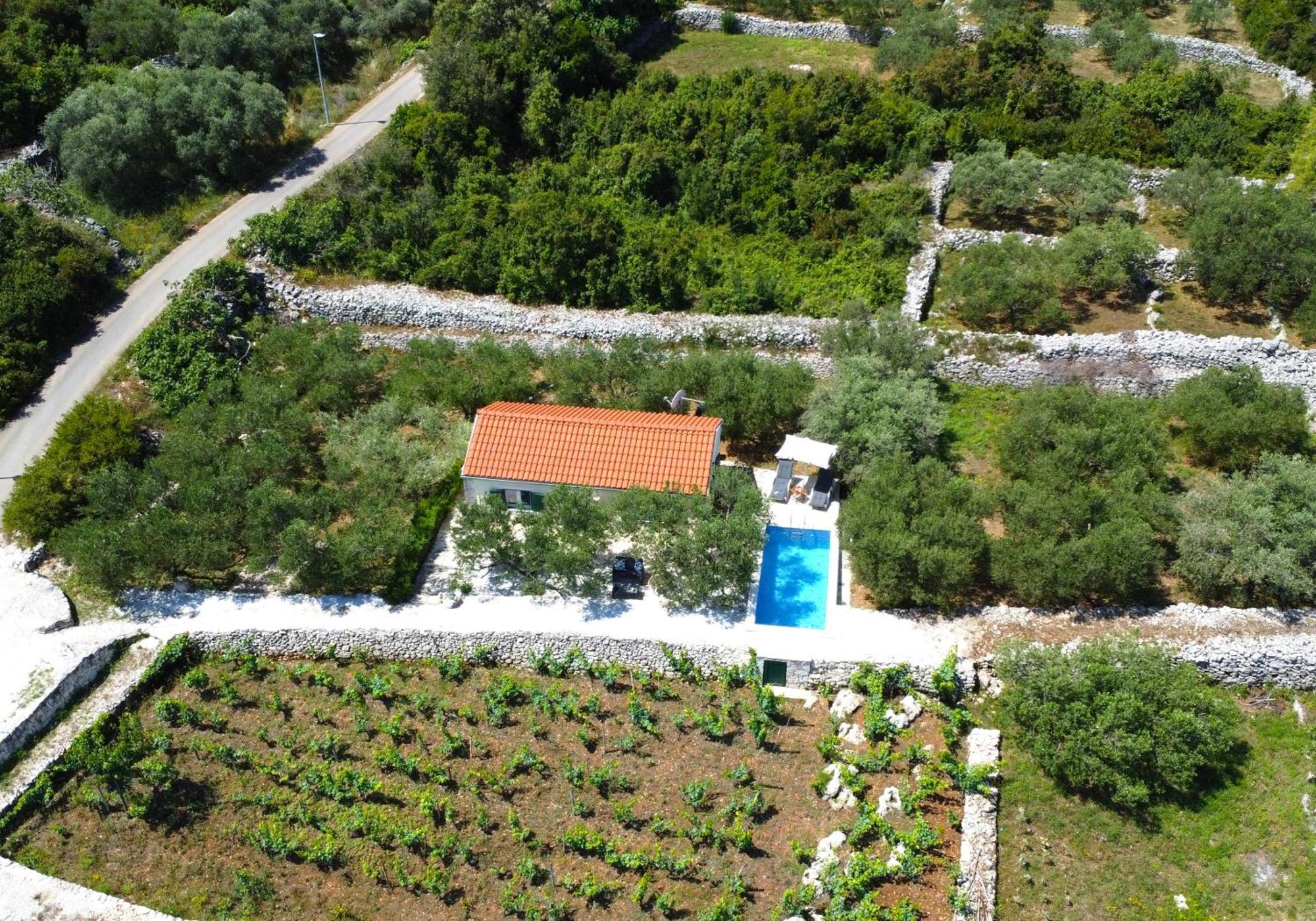 Vineyard House & Olive Grove House Villa Račišće Dış mekan fotoğraf