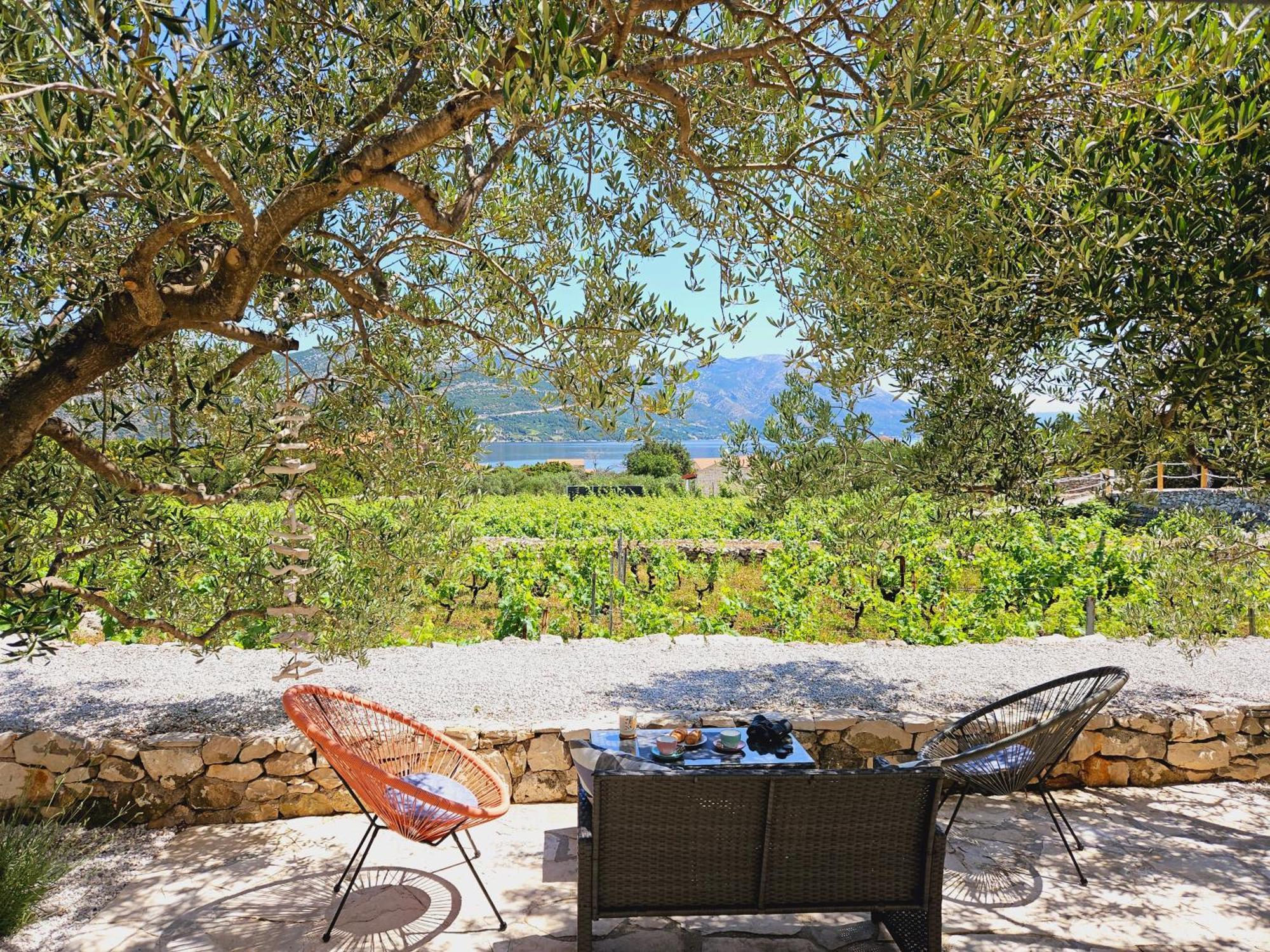 Vineyard House & Olive Grove House Villa Račišće Dış mekan fotoğraf