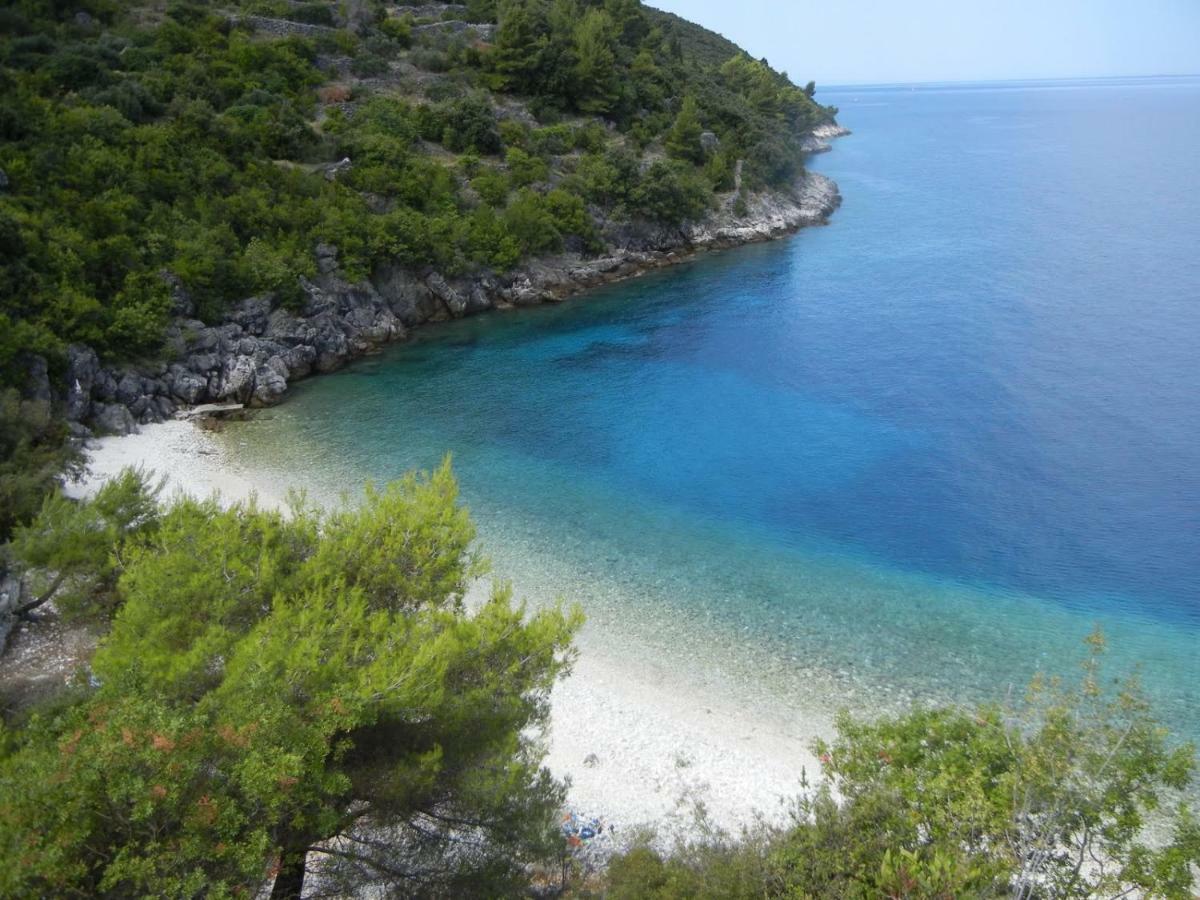 Vineyard House & Olive Grove House Villa Račišće Dış mekan fotoğraf