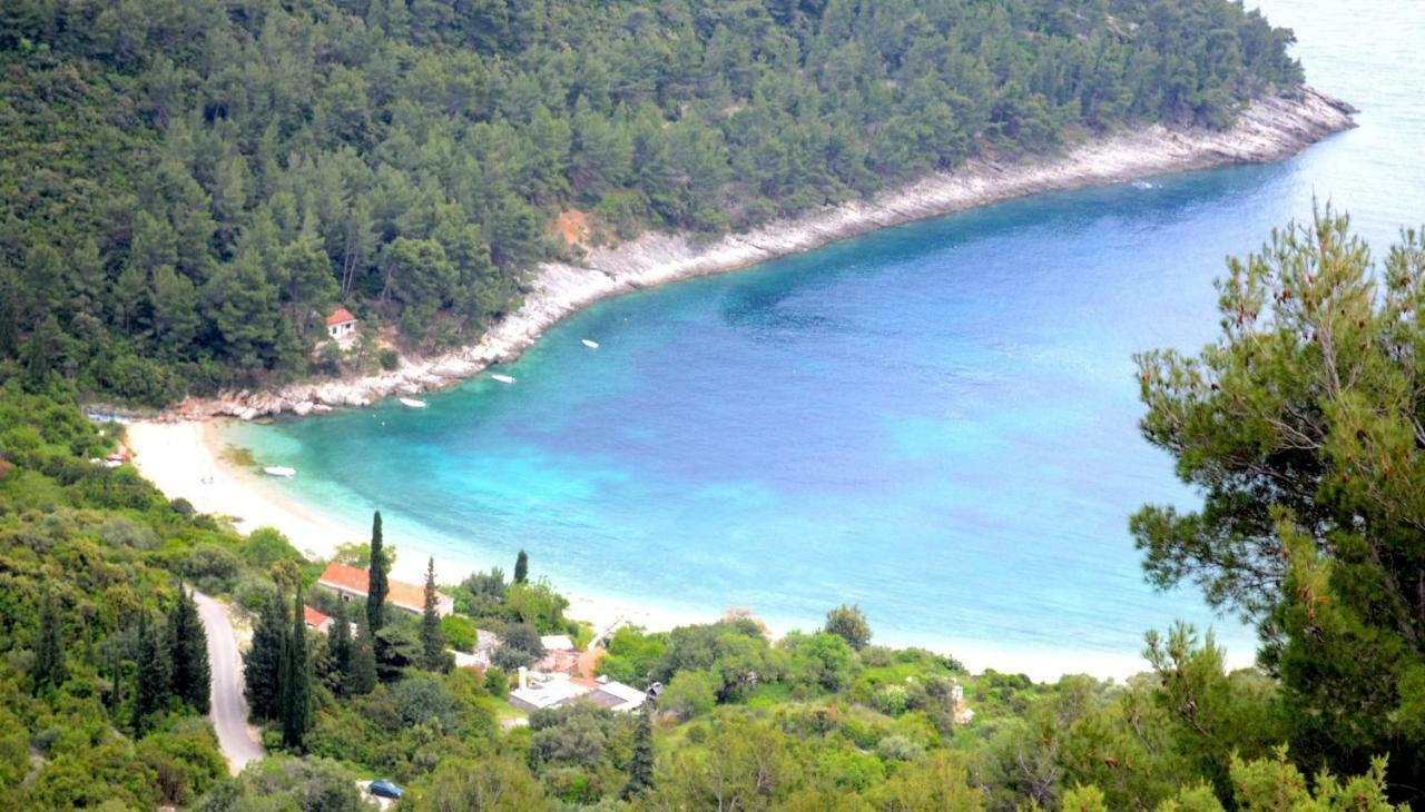 Vineyard House & Olive Grove House Villa Račišće Dış mekan fotoğraf