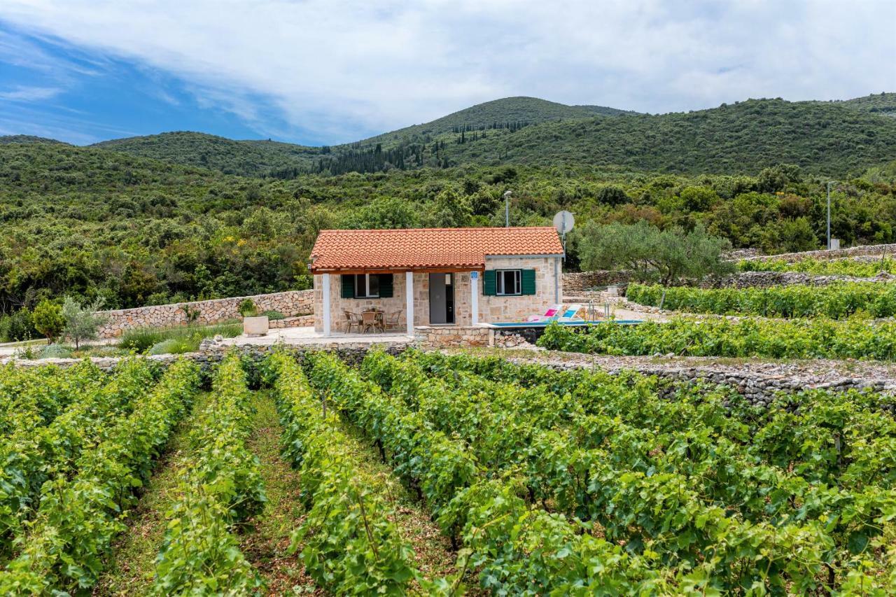 Vineyard House & Olive Grove House Villa Račišće Dış mekan fotoğraf