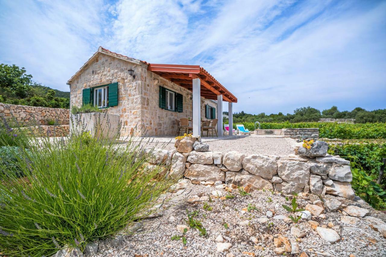 Vineyard House & Olive Grove House Villa Račišće Dış mekan fotoğraf