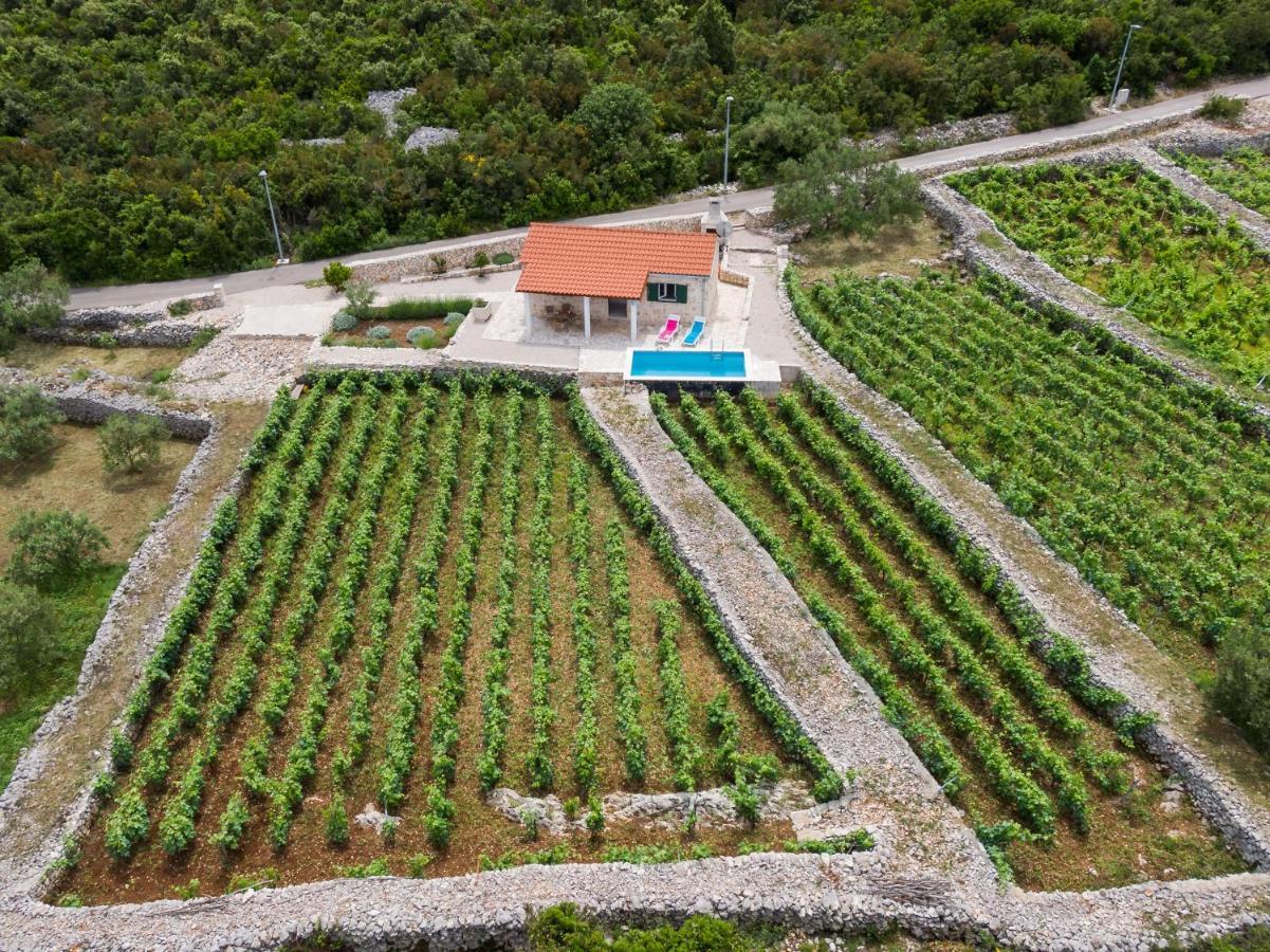 Vineyard House & Olive Grove House Villa Račišće Dış mekan fotoğraf