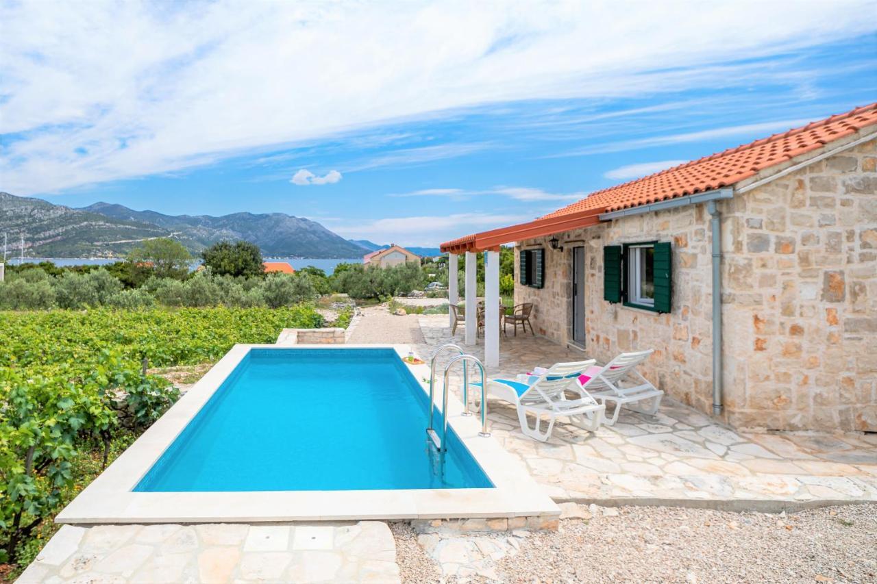 Vineyard House & Olive Grove House Villa Račišće Dış mekan fotoğraf