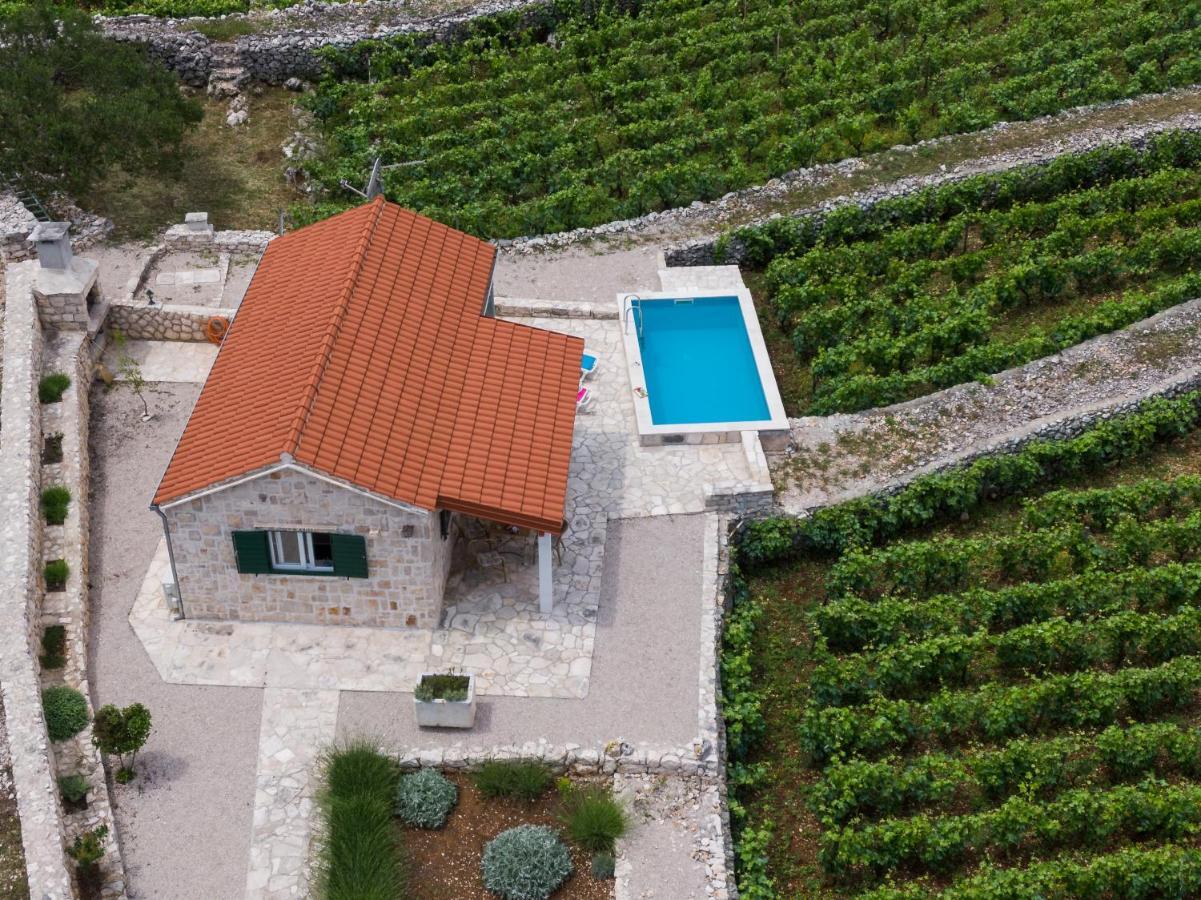Vineyard House & Olive Grove House Villa Račišće Dış mekan fotoğraf