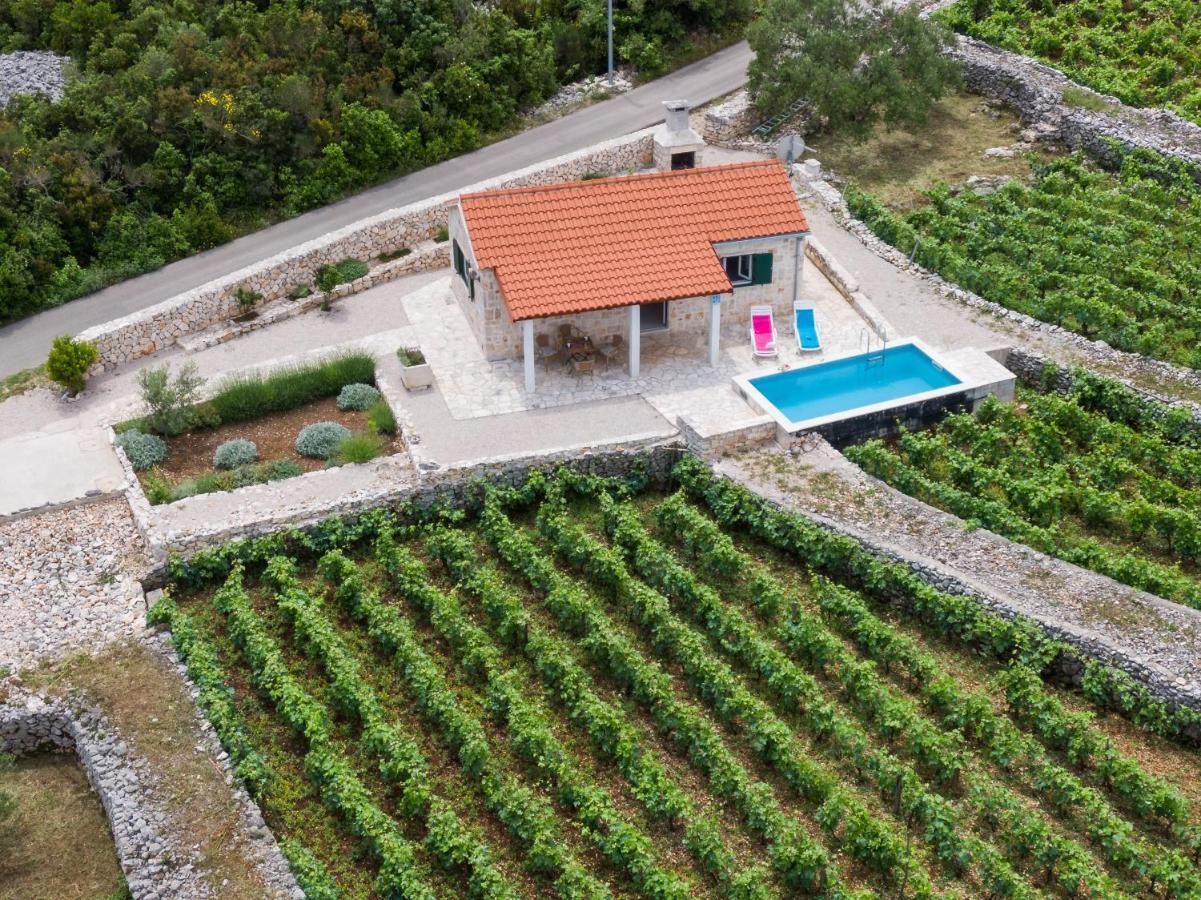 Vineyard House & Olive Grove House Villa Račišće Dış mekan fotoğraf