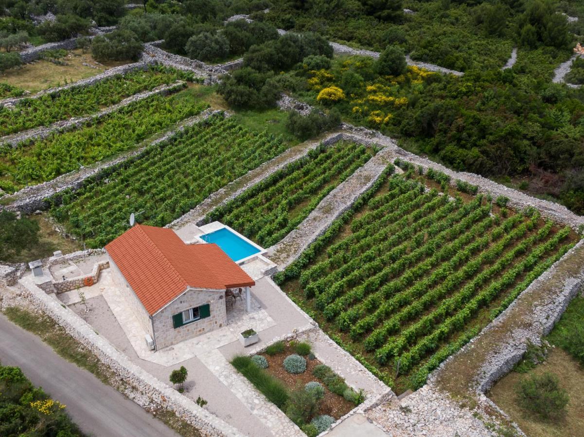 Vineyard House & Olive Grove House Villa Račišće Dış mekan fotoğraf